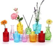 BIGIVACA Set of 10 Glass Bud Vases,Small Vases for Flowers,Colorful Single Bud Vases in Bulk,Mini Decor Rustic Vases for Centerpieces,Vintage Glass Bottles for Wedding, Home,Table Decoration