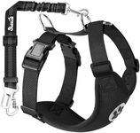 Car Harness For Dog