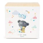 Me to You AGE92010 Tiny Tatty Teddy My Best Friend Figurine,Blue,grey,12.5cm