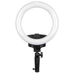 Mobile Bi-Color 10" LED Ringlight