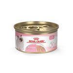 Royal Canin Feline Health Nutrition Loaf in Sauce Wet Kitten Food, 3 Ounce Can