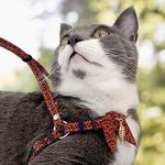 Zen Fish Charm Cat Harness & Leash Set (Red)