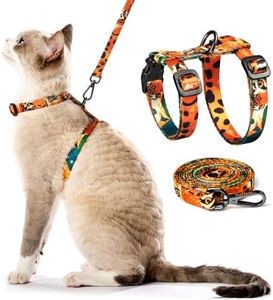 Cat Harnes