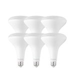 Luminus PLYC5735-17W (100W) 1550 Lumens 5000K Dimmable Led Light Bulb-6 Pack, Br40, Daylight