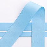 Italian Options Grosgrain Ribbon, 25mm x 10 Metre Roll, Pale Blue