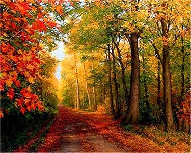 YEESAM ART Pintura de bricolaje por números para adultos principiantes niños, arce, sendero bosque, 40,6 x 50,8 cm, lienzo de lino acrílico, sin estrés, menos número, regalos de pintura (rojo, sin