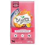 Beyond Superfood Blend Natural Dry Dog Food, Wild Caught Salmon, Egg & Pumpkin - 1.67 kg Bag