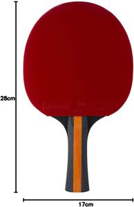 STIGA Vision 4-Star Table Tennis Bat – Professional Ping Pong Paddle