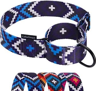 CollarDirect Aztec Martingale Collars for Dogs Heavy Duty Tribal Pattern Safety Nylon Training Collar Large Medium Small (Ethnic, XL, Neck Size 19"-24")