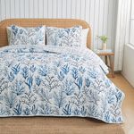 Full / Queen Size Coastal Quilt Bedding Set | Summer Navy Nautical Bedspread | Beach-Themed 3-Piece Reversible Bedding Sets & Collections | Lightweight Quilted Coverlet (Full / Queen, Navy Coral)