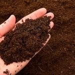 Coconut Coir fibre Coco Organic Soil Media Hydroponics Substrate Compost (1L)