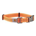 Carhartt Dog Collar Hunter Orange/B
