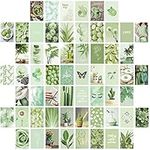 60 Pieces Sage Green Wall Collage P