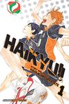 Haikyu!!, Vol. 1 (Volume 1): Hinata and Kageyama