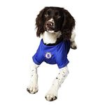 Dogsy Official Personalised Chelsea Dog Shirt | Chelsea Shirt for Dogs | Chelsea FC Gifts | Chelsea Football Kit for Your Dog | Handmade Football Dog Shirts (Personalised, Small)