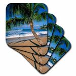 3dRose CST_89649_3 Napili Beach, Maui, Hawaii, USA US12 DPB0803 Douglas Peebles Ceramic Tile Coasters (Set of 4)