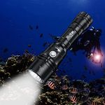 Wurkkos DL20R Diving Flashlight Rechargeable 3200Lumen Scuba Dive Light IPX8 Waterproof Underwater Flashlight with XHP50.2, Professional Diving Torch Built-in USB-C Port Snorkeling Light