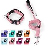 IVY&LANE Reflective Dog Collar and 