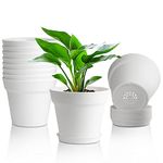 T4U 6 Inch Flower Pots 10-Pack - Small Plastic Planter with Drainage Hole and Saucer, Decorative Nursery Plant Pot Bulk for African Violet, Snake Plant, Aloe and All House Plants Indoor (White)