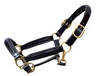 Aces Equine LEATHER HORSE HEADCOLLAR HALTER FULLY RAISED AND PADDED BLACK COLOR BRASS FITTING SIZE X-FULL, FULL, COB, PONY (FULL)