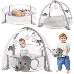 Crisschirs 5-In-1 Xl Large Baby Gym & Ball Pit, Play Mat & Play Gym, (Gray), 1 Piece