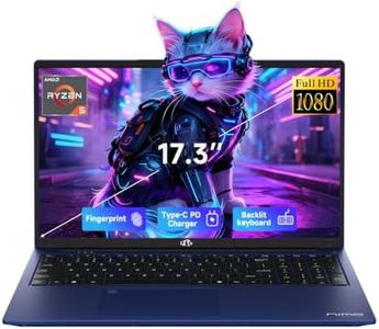 NIMO 17.3" Laptop for Business, AMD Ryzen 5 6600H (Up to 4.5GHz)