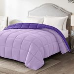 Homelike Moment Lightweight Queen Comforter - Purple Down Alternative Bedding Comforters Queen Size, All Season Duvet Insert Quilted Reversible Bed Comforter Soft Queen Full Size Plum/Light Purple