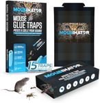 Mousinator Mouse Glue Traps | 15 PCS | Foldable Discreet Indoor Sticky Glue Trap for Small Mice | Easy & Ready-to-Use Glue Mouse Trap