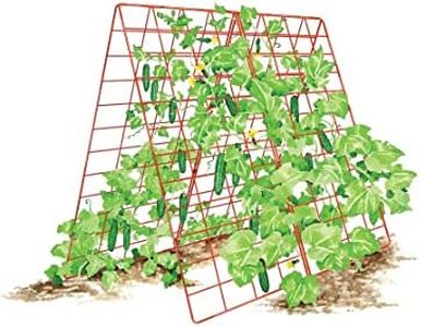 Gardener's
