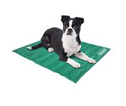 Coleman Comfort Cooling Gel Pet Pad Mat in Small 12"x16", For Small Pets (Green)
