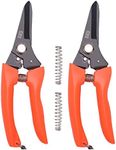 LONG RIVER Hoof Trimming Shears (2 pcs) - Goat Hoof Trimmer Foot Rot Trimming Shears Nail Trimmer for Goats Sheep Pig,Floral Trimming Shears for Garden