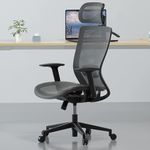 FLEXISPOT Ergonomic Office Chair Desk Chair Computer Chair Height Adjustable Seat Headrest Armrest Lumbar Support Caster Wheels Task Chair OC3 (Gray)