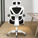 FelixKing Office Chair Ergonomic Desk Chair with Lumbar Support，High Back Mesh Gaming Chair with Adjustable Headrest and Armrests for Conference Room (White)