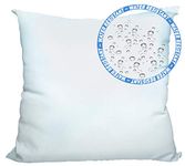 Foamily Premium Outdoor Water Resistant Stuffer Pillow Throw Inserts Sham Square Form, 20" L X 20" W, Standard/White @ M&A STYLES LTD