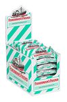 Fisherman’s Friend – Sugar Free Mint | For Temporary Relief of Cough, Sore Throat & Nasal Congestion | 24 Packs of 22 Lozenges (528 Total Count)