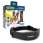 PetSafe NanoBark Collar - World's Smallest Bark Collar for Small and Medium Dogs, 10 Levels of Static Stimulation, Waterproof and Rechargeable Anti-Bark Training, Comfortable and Low-Profile Design