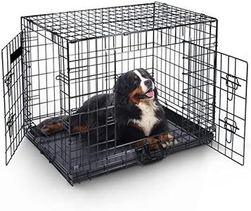 42in Dog C