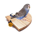 Sage Square Natural Wood Quarter Platform 4 Inche - A Perfect Perch and Playground for Your Feathered Friend,Promote Physical and Mental Well-Being, Create a Natural Habitat for Your Beloved Bird