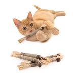 PAKESI Silvervine Catnip Sticks 4-Piece Set of cat Toys, Chew Toys for Kittens Teeth Cleaning, Indoor cat Interactive Toys, Suitable for All Cats Chewing Sticks to Relieve Stress