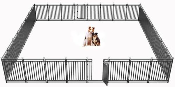 Petorldog