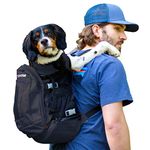 K9 Sport Sack | Dog Carrier Backpack for Small and Medium Pets | Front Facing Adjustable Dog Backpack Carrier | Fully Ventilated | Veterinarian Approved (Medium, Air Plus - Jet Black)