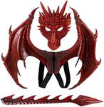 CRTEPST Dragon Costume for Kids Boy