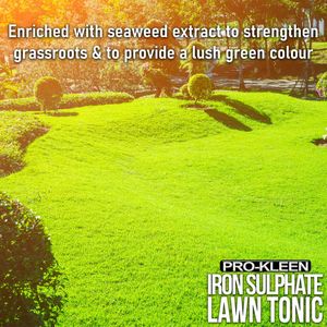 Pro-Kleen Lawn Tonic Liquid Iron Sulphate – 5L Grass Fertiliser & Turf Hardener