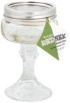 Carson Home Accents The Original Rednek Tini Glass