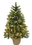 3 Foot The Most Realistic Tabletop Little Spruce Christmas Tree with LED Light