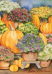 Toland Home Garden 108276 Pumpkins 