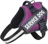 Belababy Soft No Pull Dog Harness X Small, Adjustable Assistance Service Dog Vest with Safety Buckle, Reflective Breathable Outdoor Training Dog Harness（Purple）