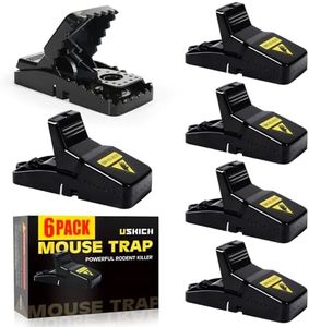 Mouse Trap