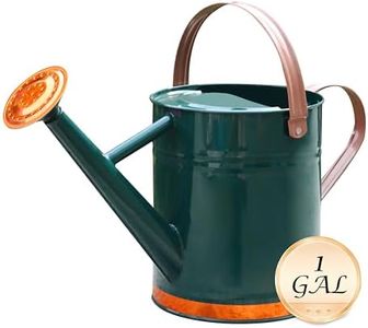 Metal Watering Can for Outdoor and Indoor Plants, Watering Can Decor, 1 Gallon (1 Gallon Green2)