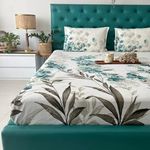 Urban Space 100% Cotton Bedsheet for Double Bed, Serene 200 TC Bedsheet Double Size Bed Cotton with 2 Pillow Cover (88 x 100 inches, Majestic Aqua)